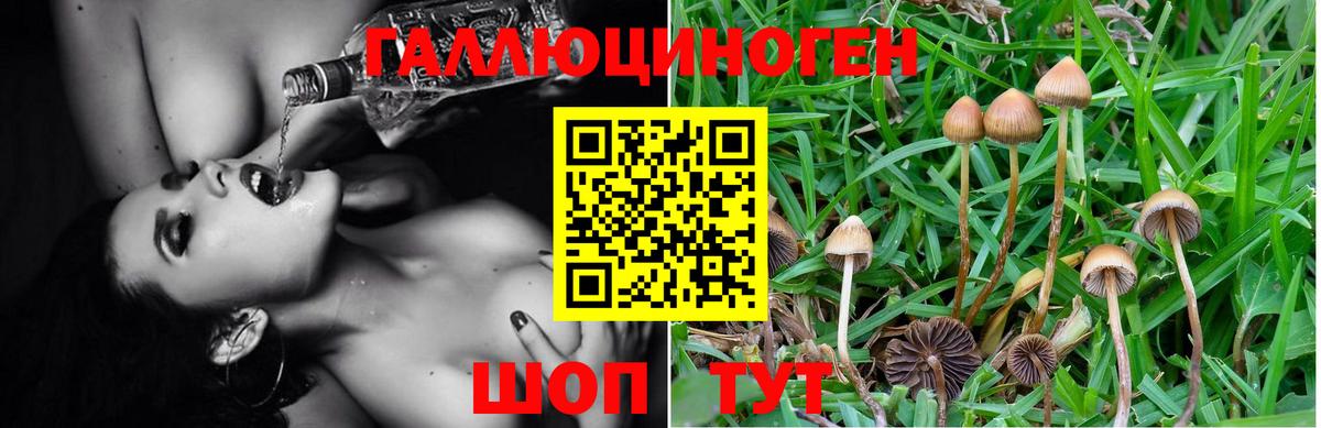 Псилоцибиновые грибы Magic Shrooms  Псилоцибиновые грибы мухоморы  Вход с VPN  Лангепас 